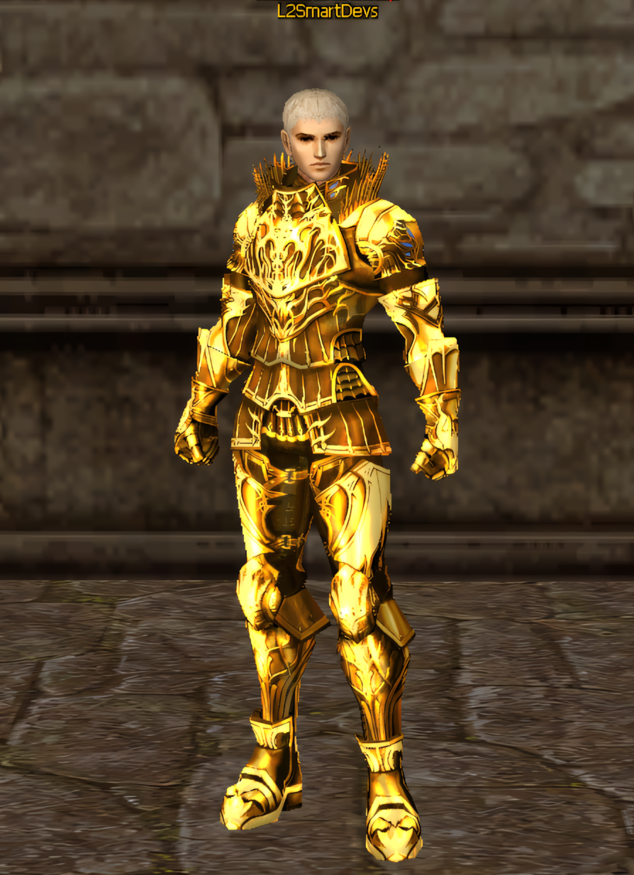 Armadura 6